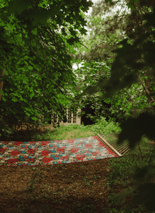 A Witch’s Guide to Rest: Why Every Home Needs a Hammock
