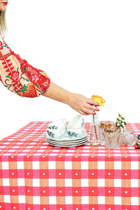 The Magic of Gingham: A Pattern for Every Season & Holiday